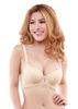 Nội Y Online, Áo Ngực Mút Dày Phối Ren Cao Cấp E045-87-Thương Hiệu 12h