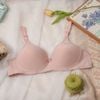P8348 Áo không gọng, trơn, Mút mỏng tinh tế, chất liệu cotton cao cấp, bảng lưng 2 móc cài, Đồ Lót 12H