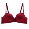 Áo Ngực Ở Bình Dương, Áo Ngực Ren Không Gọng,  Mút Vừa Hot Nhất Hiện Nay E412-88-Thương Hiệu 12h