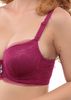 Đồ Lót Nữ Ở Nha Trang, Áo Ngực Mút Dày Ren E045-52 -Thương Hiệu 12h
