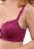 Đồ Lót Nữ Dễ Thương, Mút Dày Phối Ren Tinh Tế  E045-159-Thương Hiệu 12h