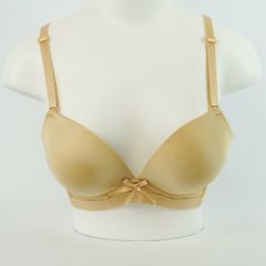 Áo Lót Mút Dày, Trơn,Tôn Vòng 1, Mềm Mại Thoáng Khí, Tự Tin Cả Ngày, E540, Đồ Lót 12H