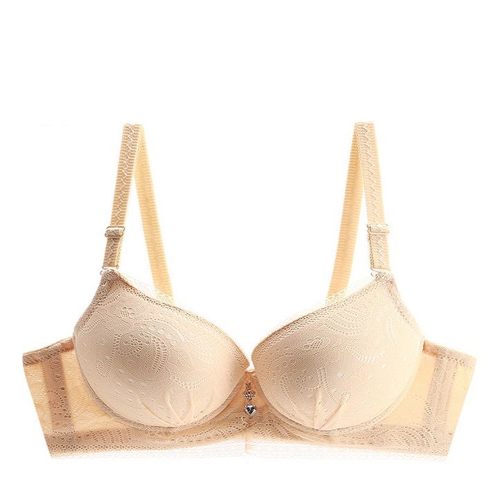 Thế Giới Nội Y Áo Ngực Có Gọng Nâng Ngực, Mút Dày Phối Ren Tinh Tế  E045-156-Thương Hiệu 12h