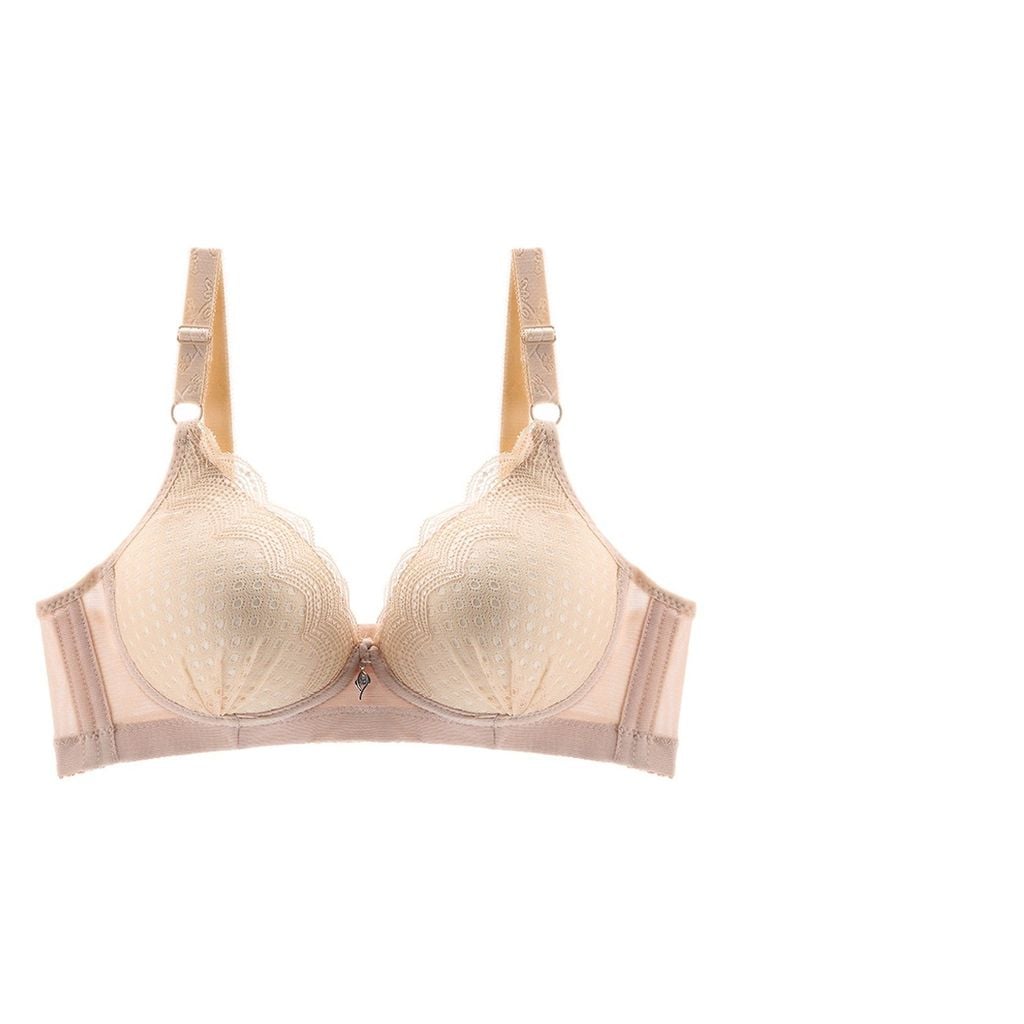 Lấy Đồ Lót Giá Sỉ Ở Đâu, Nội Y Cao Cấp, Nội Y Không Gọng Ren E088-40-Thương Hiệu 12h