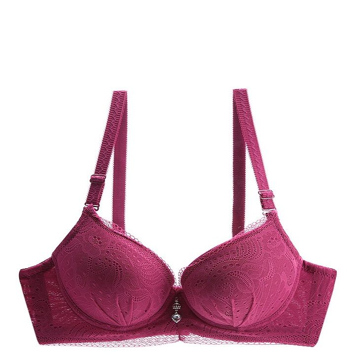 Đồ Lót Nữ Giá Rẻ, Áo Ngực Mút Dày Ren E045-65-Thương Hiệu 12h