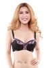 Đồ Lót Đẹp, Shop Nội Y Nữ, Áo Ngực Có Gọng Mút Mỏng E042- 45- Thương Hiệu  12h