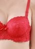 Đồ Lót Ren, Áo Ngực Mút Dày Có Gọng E125-58-Thương Hiệu 12h