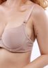 Do Lot Xuat Khau, Nội Y Mút Mỏng Trơn 2 Khuy E085-128-Thương Hiệu 12h