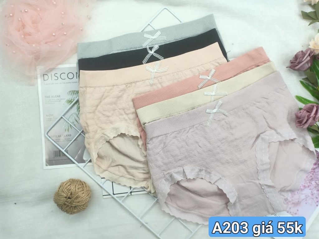 Quần Dệt Kim, A203, Đồ lót 12H