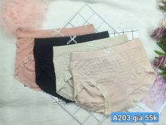 Quần Dệt Kim Thời Trang Cao Cấp Mềm Mịn Êm Ái, A203-4, Đồ lót 12H