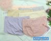 Quần Dệt Kim Thời Trang Cao Cấp, A204-3, Đồ lót 12H