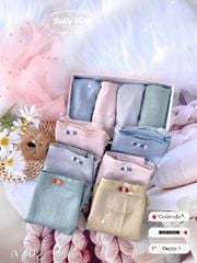 Quần Dệt Kim Cao Cấp Chất Liệu Cotton Dệt Kim, A206-3, Đồ lót 12H