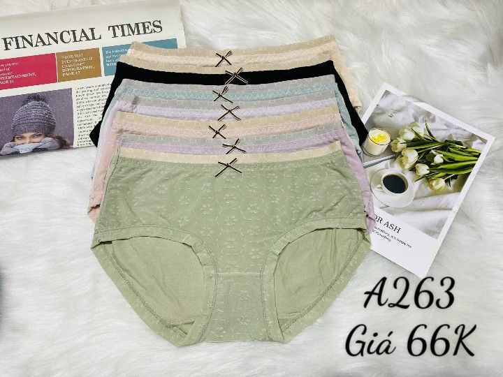 Quần Thun Lạnh Cao Cấp, A263-5, Đồ lót 12H