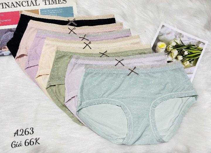 Quần Thun Lạnh Thời Trang Cao Cấp, A263-3, Đồ lót 12H