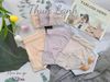Quần Thun Lạnh, Siêu Mềm Mát,Thoải Mái, A226-2, Đồ lót 12H