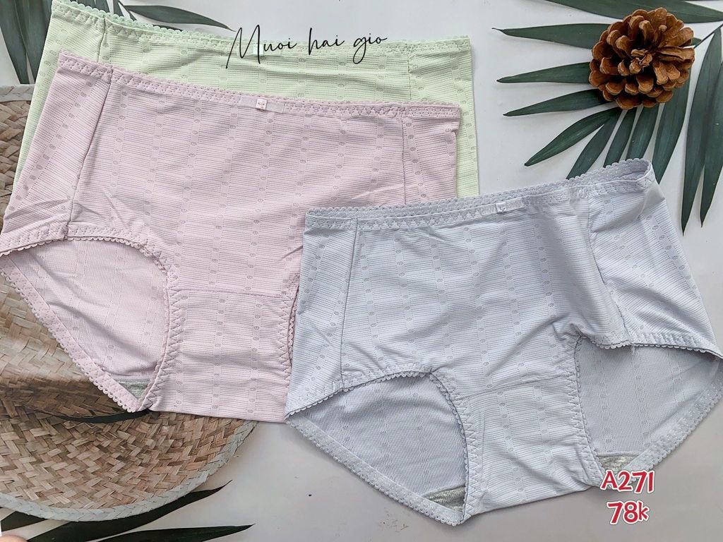 Quần Thun Lạnh Cao Cấp Chất Liệu Thun Lạnh, Đáy 2 Lớp Kháng Khuẩn, A271-4, Đồ lót 12H