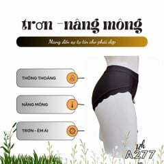 Quần Chíp Cotton Cao Cấp, Trơn, Nâng Mông, A277-1, Đồ Lót 12H