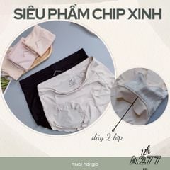 Quần Chíp Cotton Cao Cấp A277, Đồ Lót 12H