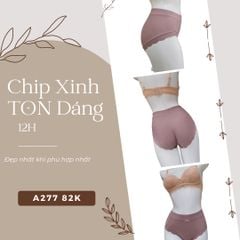 Quần Chíp Cotton, Trơn, Nguyên Mông A277-3, Đồ Lót 12H