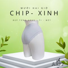 Quần Chíp Cotton, Trơn, Mềm Mại Cho Nàng A277-2, Đồ Lót 12H