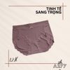 Quần Chíp Cotton, Trơn, Nguyên Mông, Co Dãn Tốt A277-4, Đồ Lót 12H