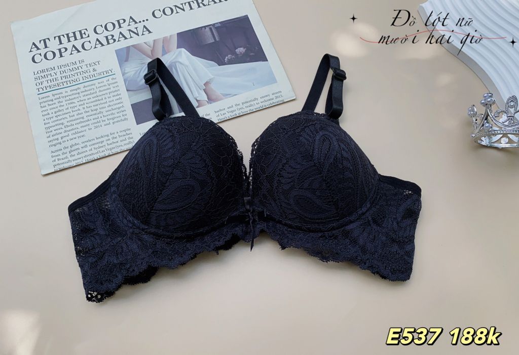 Áo Ngực Mút Dày Không Gọng - Ren Chất Liệu Cao Cấp, E537-5, Đồ Lót 12H
