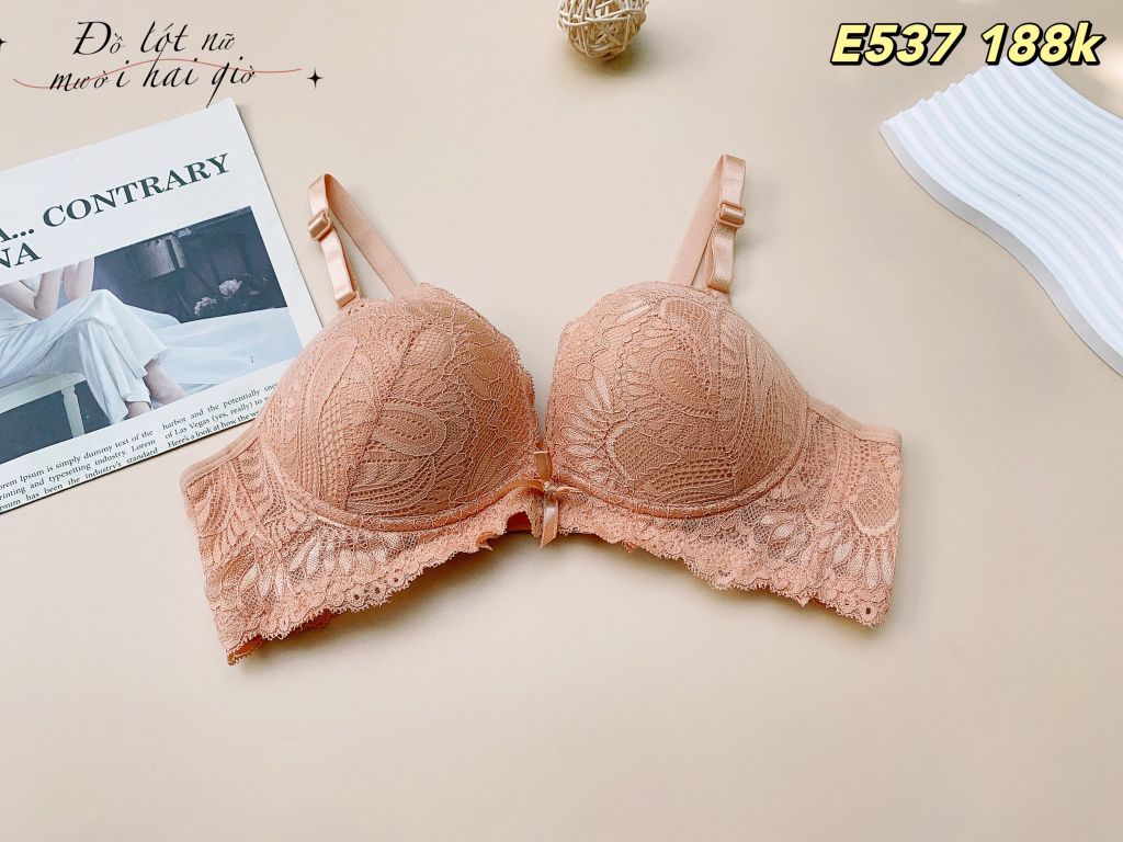 Áo Ngực Mút Dày Không Gọng - Ren Mút Nâng Ngực Kháng Khuẩn Cao Cấp, E537-4, Đồ Lót 12H