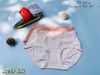 Quần Thun Lạnh Siêu Mềm Mịn Thời Trang Cao Cấp, A259-3, Đồ lót 12H
