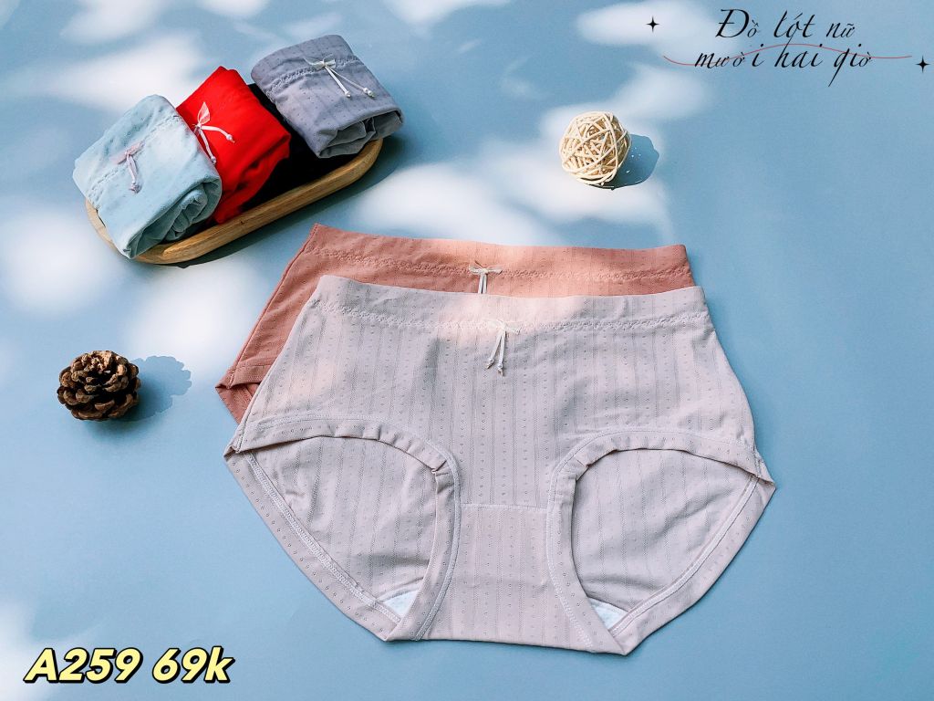 Quần Thun Lạnh Chất Liệu Co Giãn Cao Cấp, A259-5, Đồ lót 12H