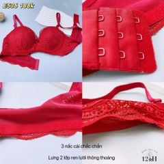 Áo Ngực Mút Bàn Tay Không Gọng - Ren Thời Trang Cao Cấp, E536-4, Đồ Lót 12H