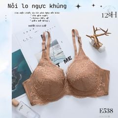 Áo Ngực Mút Mỏng Không Gọng - Ren Cao Cấp, E538-1, Đồ Lót 12H