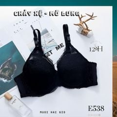 Áo Ngực Mút Mỏng Không Gọng - Ren Thời Trang Cao Cấp, E538-2, Đồ Lót 12H