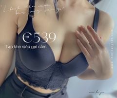 Áo Ngực Tập Gym E539-4, Phối Ren, Mút Mỏng Thoải Mái,  Đồ Lót 12H