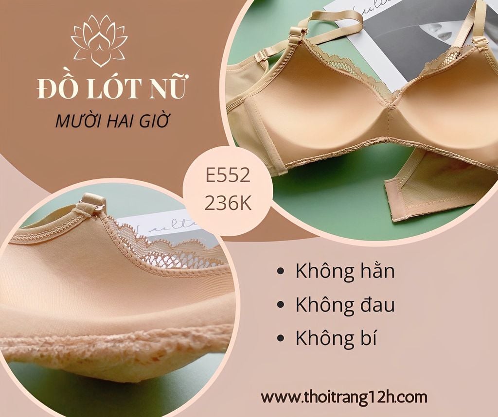 Áo Ngực Mút Mỏng, Ren Lụa, Cao Cấp E552-3, Đồ Lót 12H