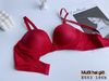 Áo Ngực Nữ Mút Vừa, Đệm Êm Ái Nâng Đỡ Vòng 1, E553-1, Đồ Lót 12H