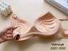 Áo Ngực Mút Vừa Không Gọng, Họa Tiết Ren Sang Trọng Qúy Phái, E551-5, Đồ Lót 12H