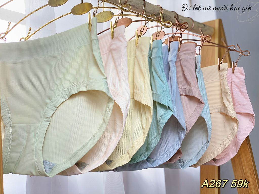 Quần Lót Cao Cấp, Họa Tiết Lỗ Li Ti Thông Thoáng Cho Da, A267-5, Đồ Lót 12H