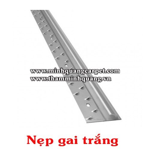  Nẹp cửa - Nẹp gai trắng 