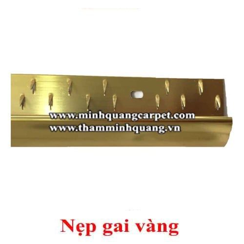  Nẹp cửa - Nẹp gai vàng 1004 