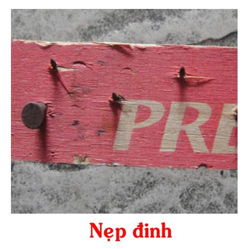  Nep đinh 