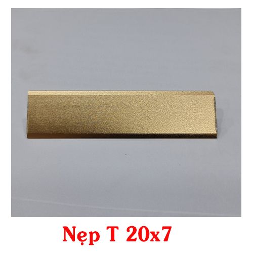  Nẹp chữ T 