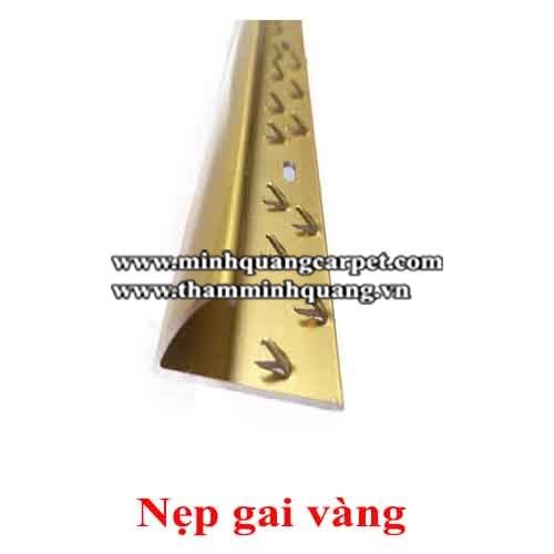 Nẹp cửa - Nẹp gai vàng 1004