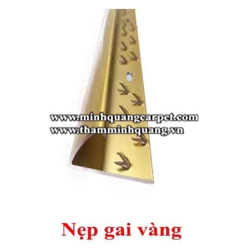  Nẹp cửa - Nẹp gai vàng 1004 