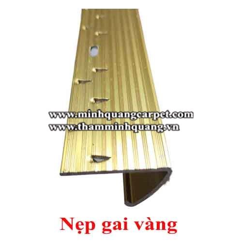  Nẹp cửa - Nẹp gai vàng 1004 