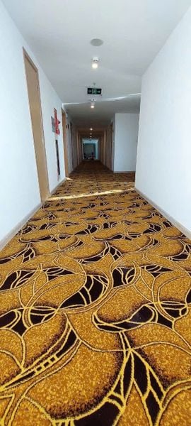  Thảm trải sảnh tiệc Wilton SA 2599 