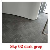 Thảm giá rẻ Sky 02 màu xám đậm 
