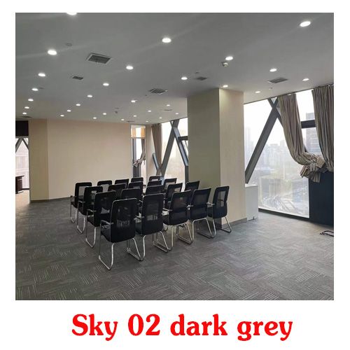  Thảm giá rẻ Sky 02 màu xám đậm 