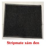 stripmate xam den