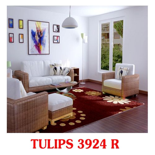  Thảm Salon Phòng Khách TULIPS 3924 R 