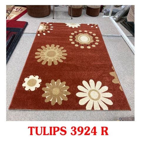 Thảm Salon Phòng Khách TULIPS 3924 R